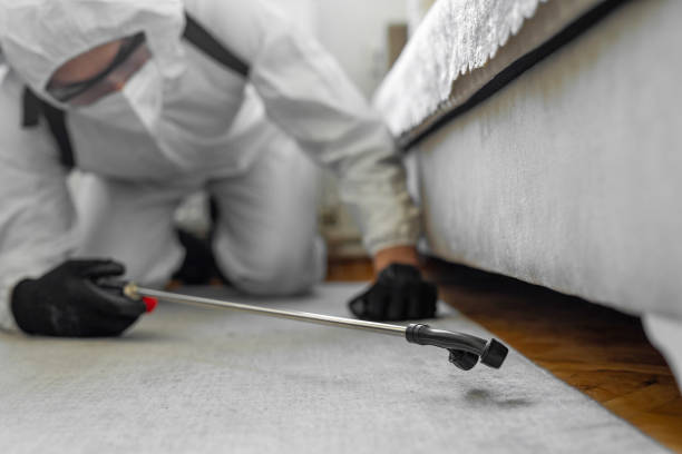 Professional Bed Bug Control technician working in Petersburg, IL