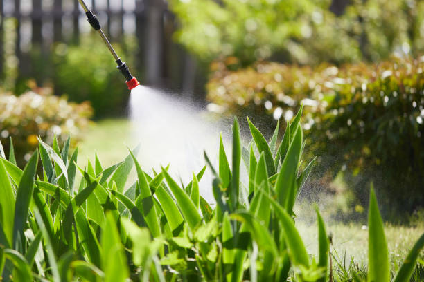 24/7 Emergency Bed Bug Control experts in Petersburg, IL