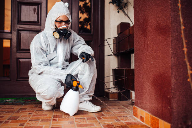Reliable Bed Bug Control contractor in Petersburg, IL by Nex Pest Control
