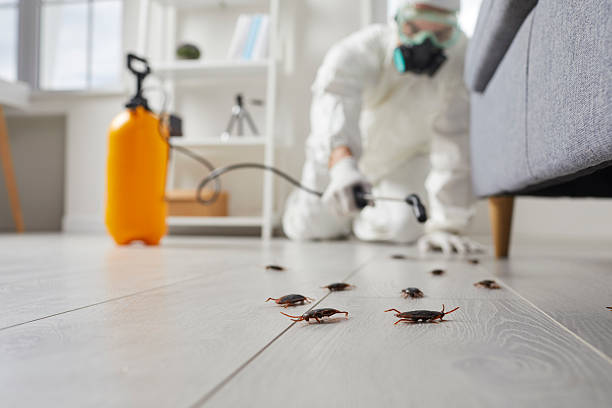 Trusted Cockroach Control service in Petersburg, IL - Nex Pest Control