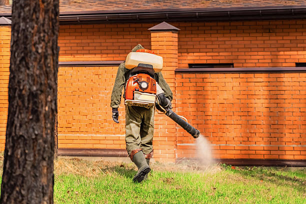 Trusted Mosquito Control service in Petersburg, IL - Nex Pest Control